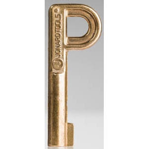 P KEY FOR SELF LOCKI