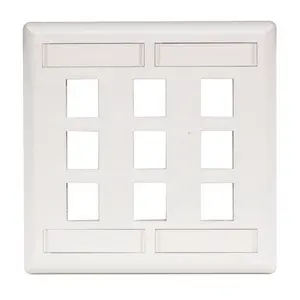 PLATE FLUSH MT 2G 9P