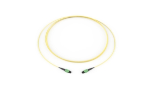 12F MTP-12F MTP  STR
