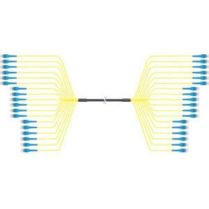 FOA SM 36 FIBER LC/L