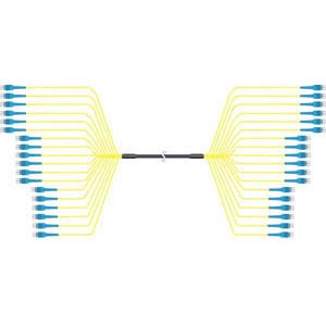 FOA SM 36 FIBER LC/L