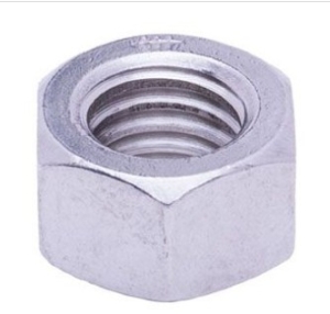 HEX NUT .25in-20 SS 100 EA/BX