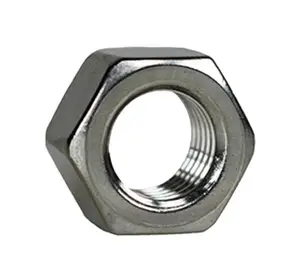 1/4" -20 SS HEX NUT