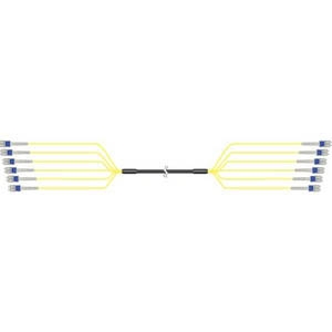 FOA SM 12 FIBER LC/L